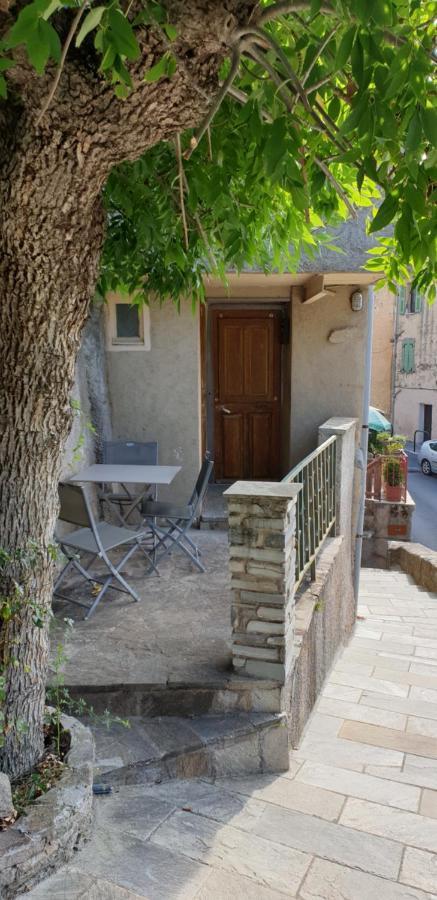 Appartement De Charme Vieille Ville Corte  Exteriör bild
